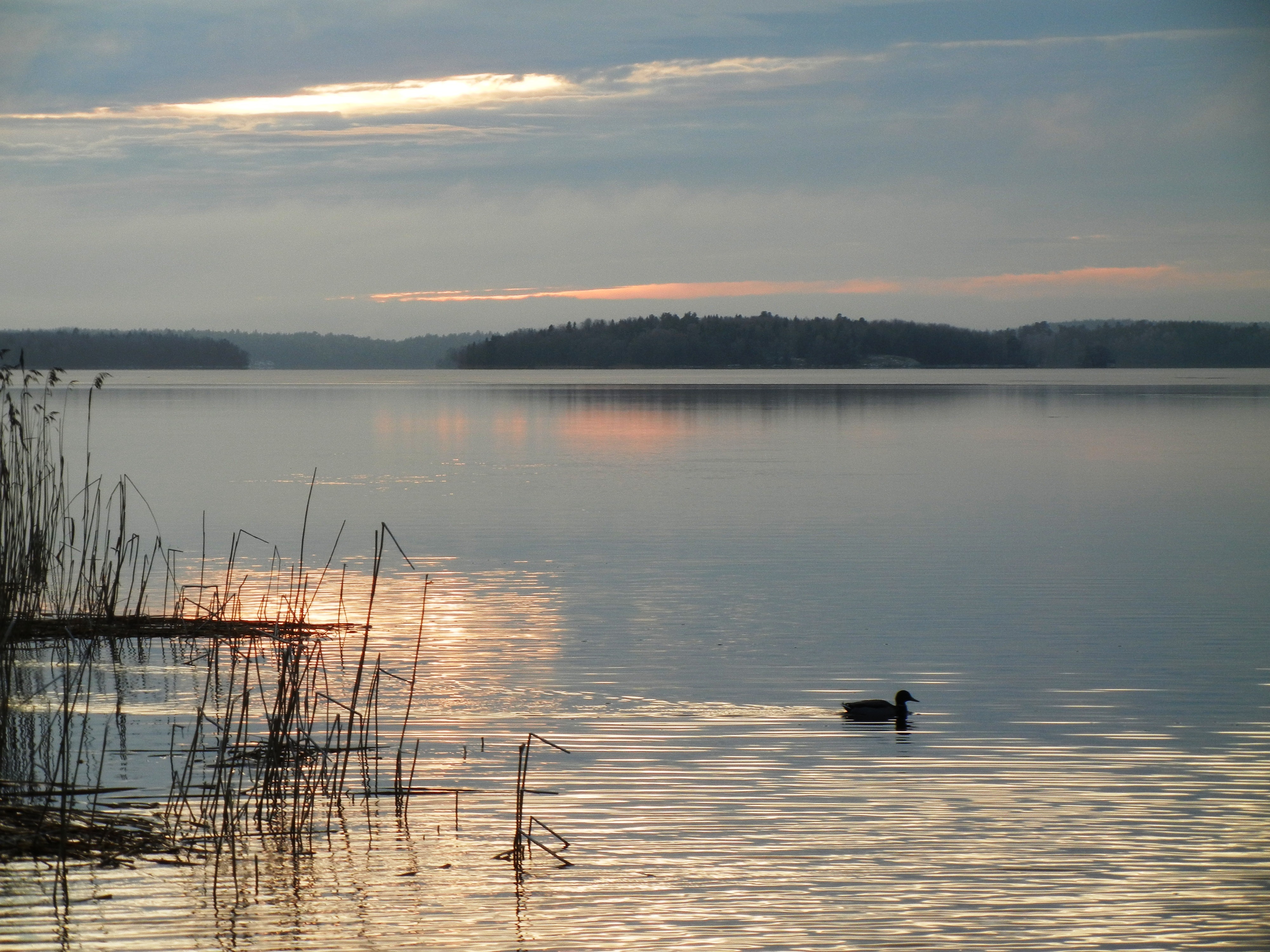 Jolanta Borusiewicz – Zapraszam do Kawiarenki